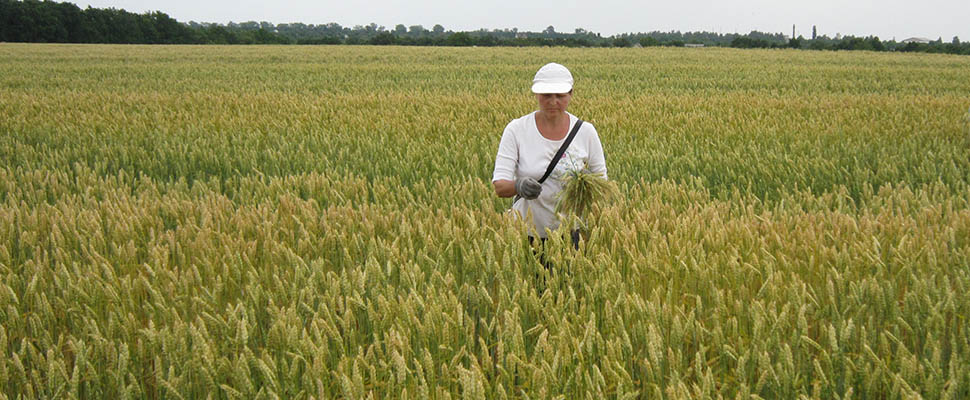 Постійний моніторинг